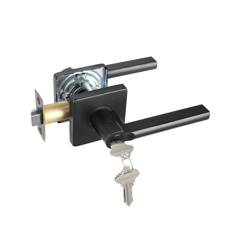 Door Heavy Duty Lever Lock 1601